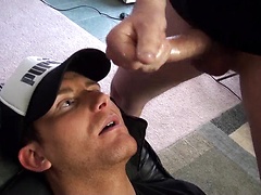 Glazing Addison