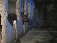 Hot black muscle man punished and fucked in kink's dungeon
