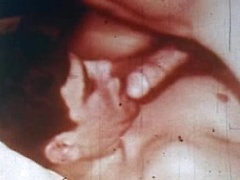 Two hot boys suck each other cocks