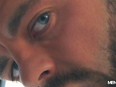 Focus, Editor's Cut